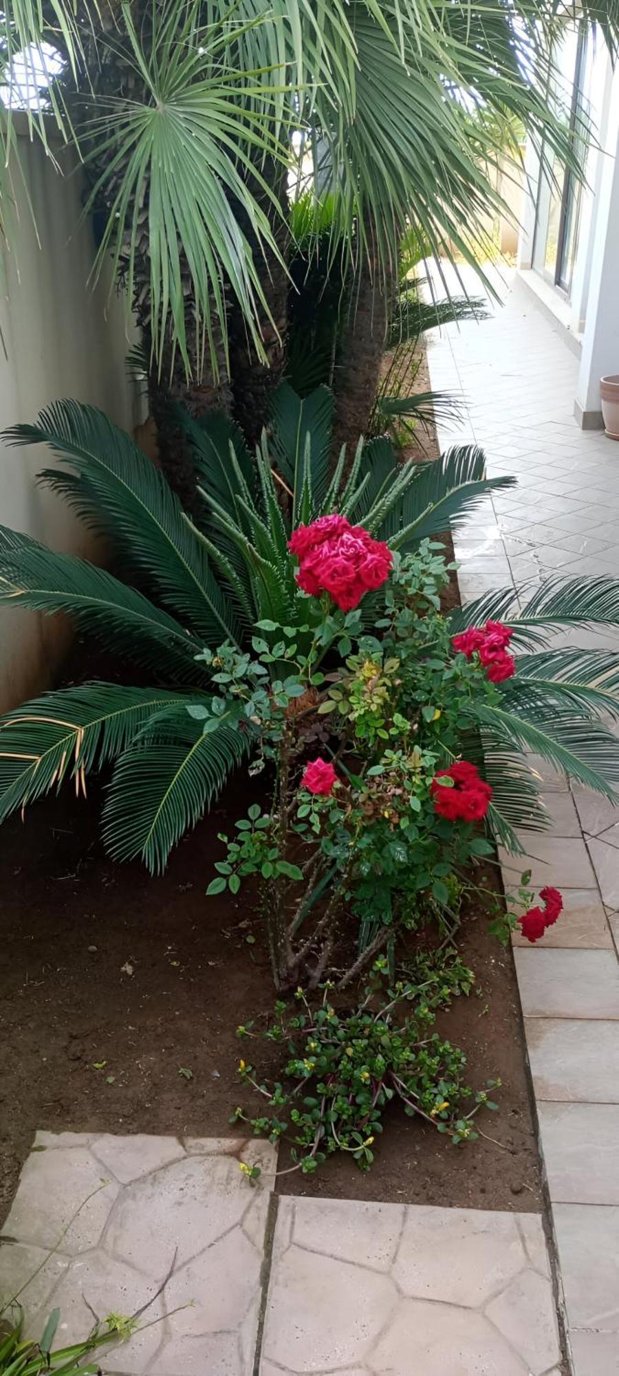 Viki House Mazara Apartment Mazara del Vallo Luaran gambar